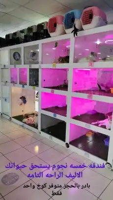 االقط النادر (البنقال) فقط ب200ريال 2