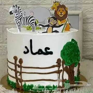 كيكة الاطفال 1