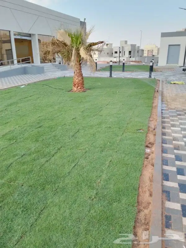 تنسيق حدائق القصيم 0