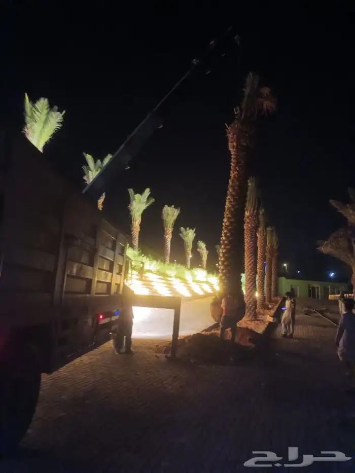 مقاول شبوك 2