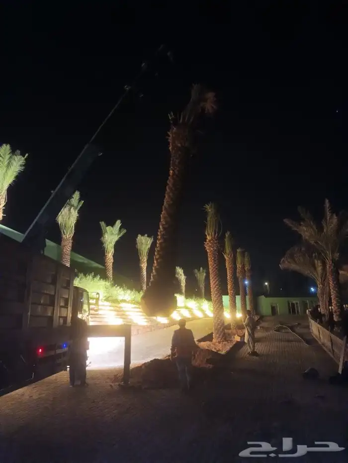 مقاول شبوك 9