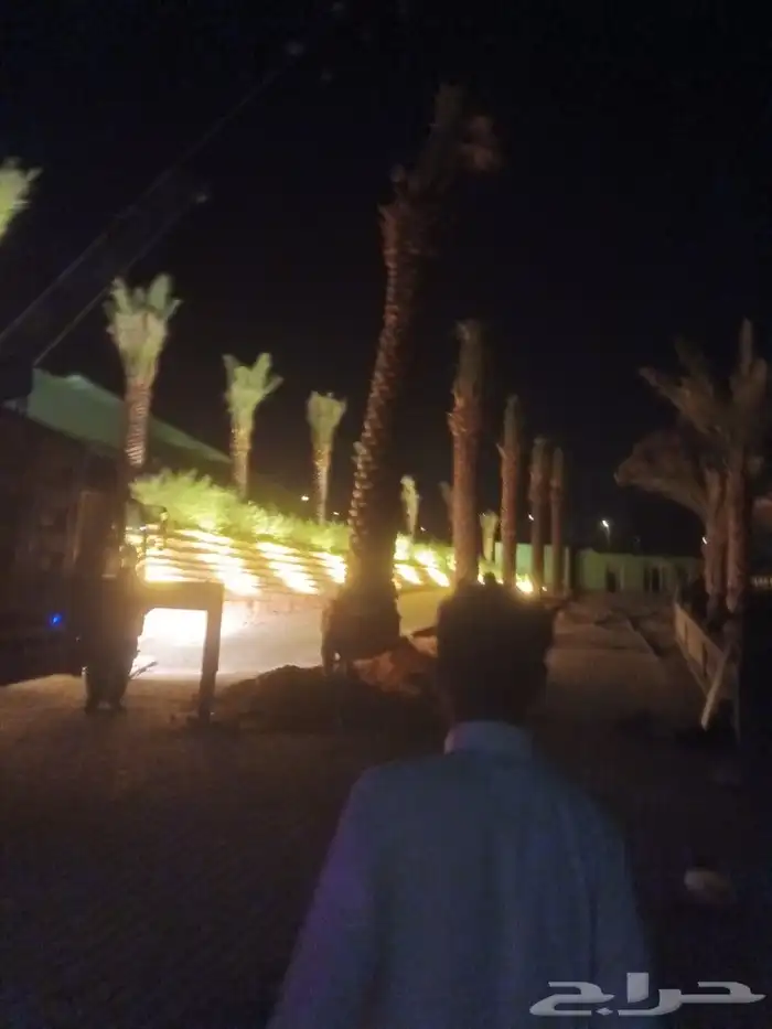 مقاول شبوك 3