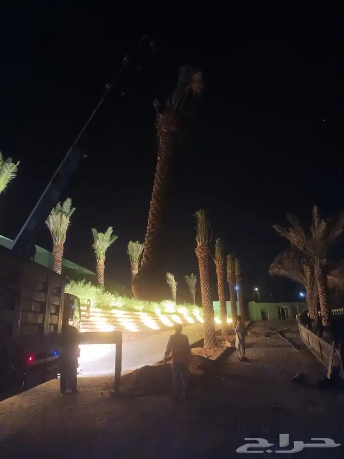 مقاول شبوك 7