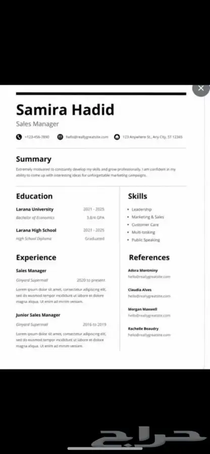 سيرة ذاتية ats cv 3