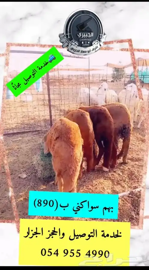 حوار وحريات وسواكني 1