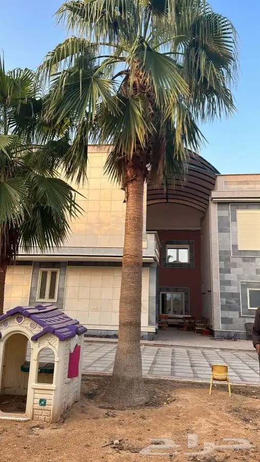 نخيل وشنطني جميع المقاسات توريد داخل وخارج المملكة 2