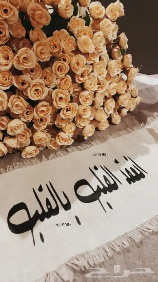 طباعه على الاقمشه والشرايط واكثر 3