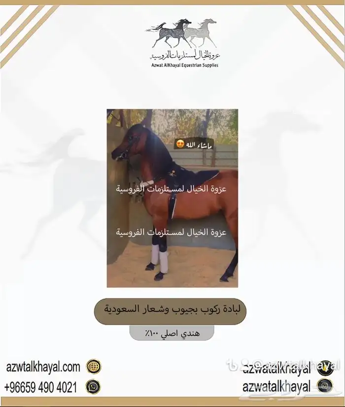 سرج خيل يوجد اقساط 13