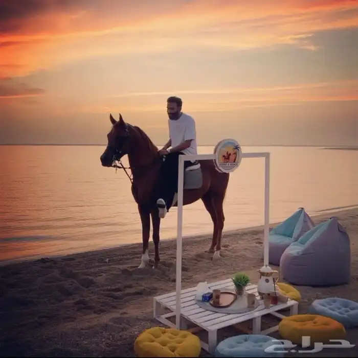 رحلات وجلسات خيل عالبحر 8