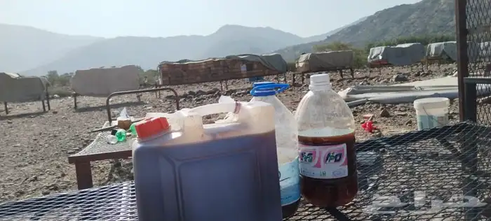 عسل سدر جبلي وسمره وطلحه والخلطه الملكيه وغيرها 2