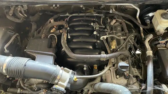 مكائن سكويا 0