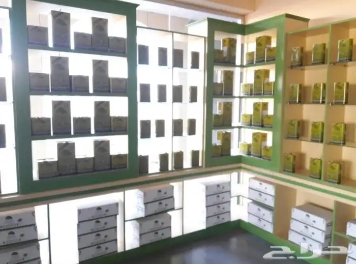 زيت زيتون بسيطا معصرة الجريد عصرة اولى جديدة عصرة الموسم1447 23