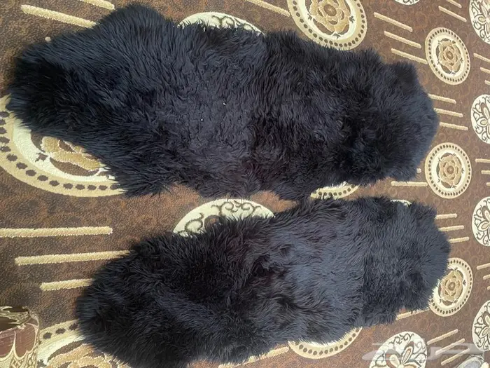 جاعد نظيف العدد2 1