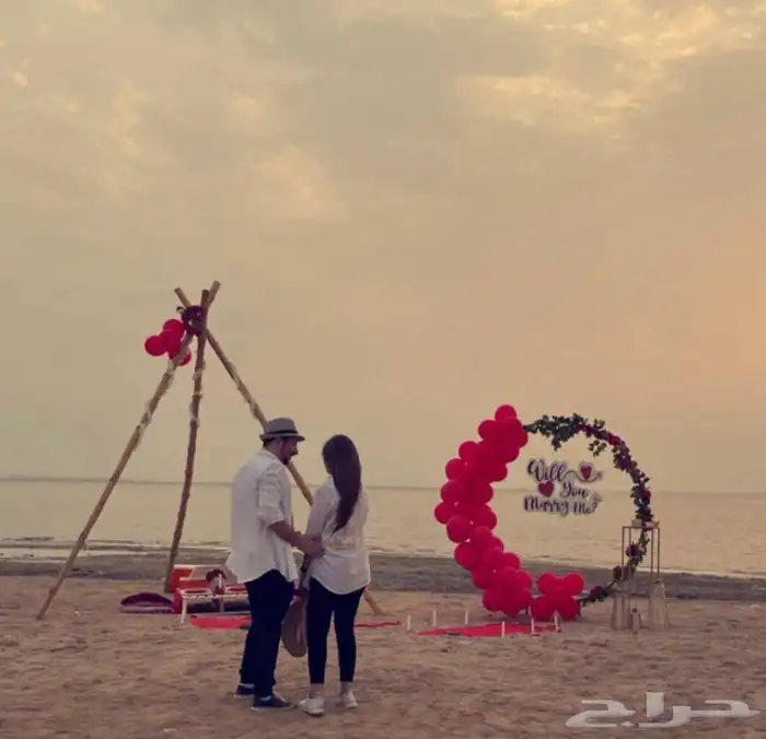 رحلات وجلسات خيل عالبحر 5