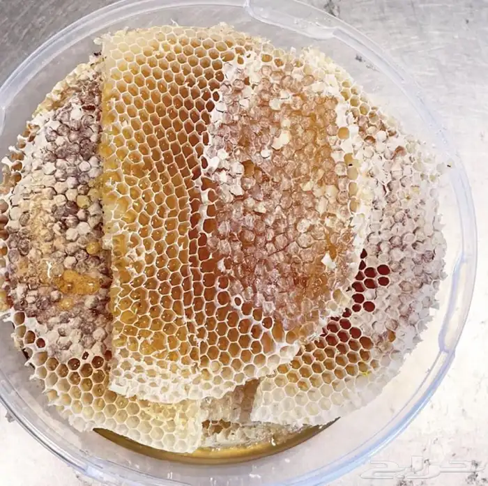 عسل سدر جبلي وسمره وطلحه والخلطه الملكيه وغيرها 3