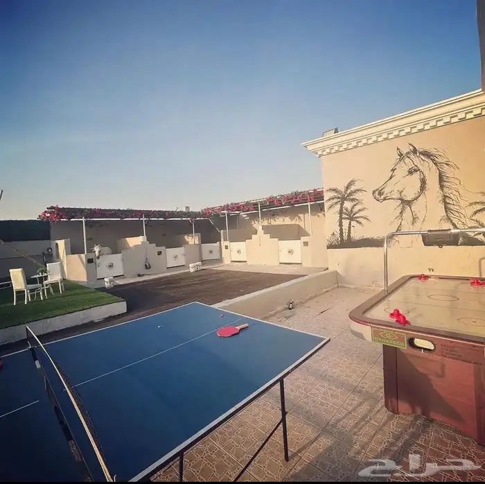 رحلات وجلسات خيل عالبحر 9