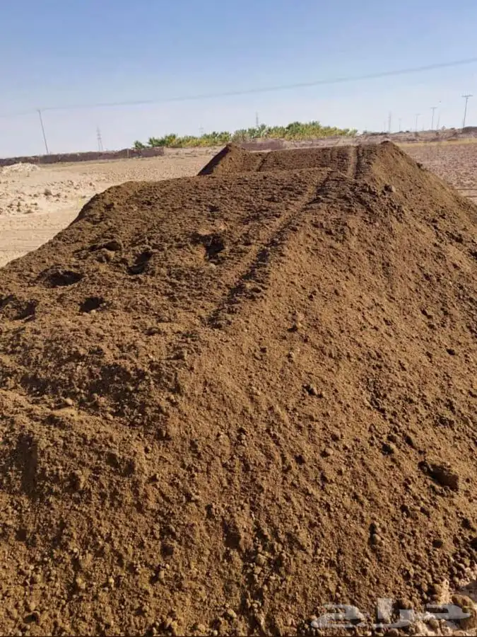 سماد ابقار 2