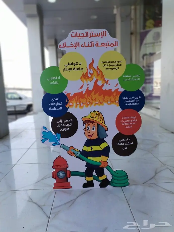 مجسمات فلين 4
