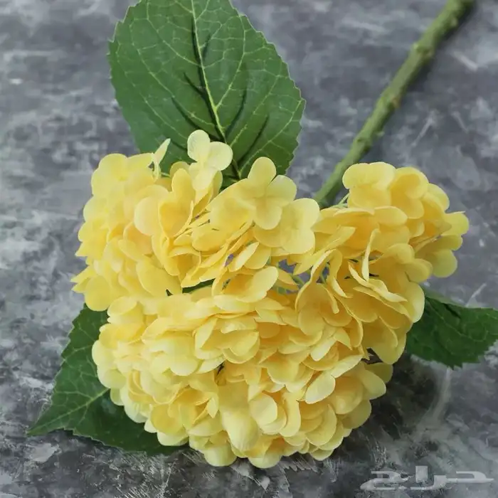 استيراد جميع أنواع الورود الصناعيه 4