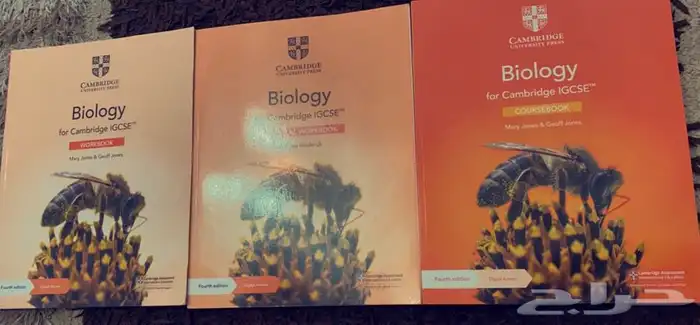 للبيع الكتاب 6