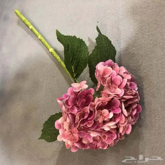 استيراد جميع أنواع الورود الصناعيه 0