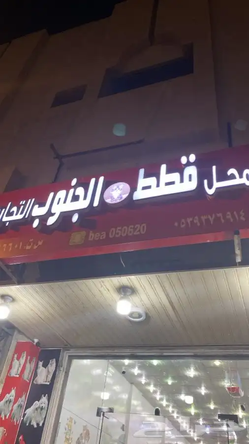 قطط ترويش فندقه احلاقه ارنب هامستر سلااحف مستلزمات حيونات 35