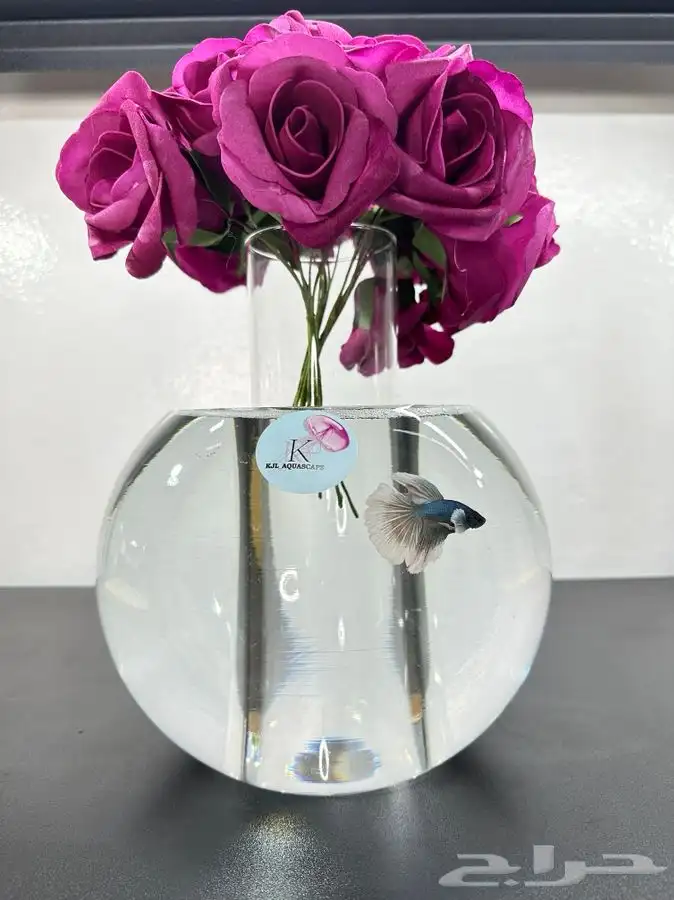هدية باقة ورد بحوض سمك فايتر 0