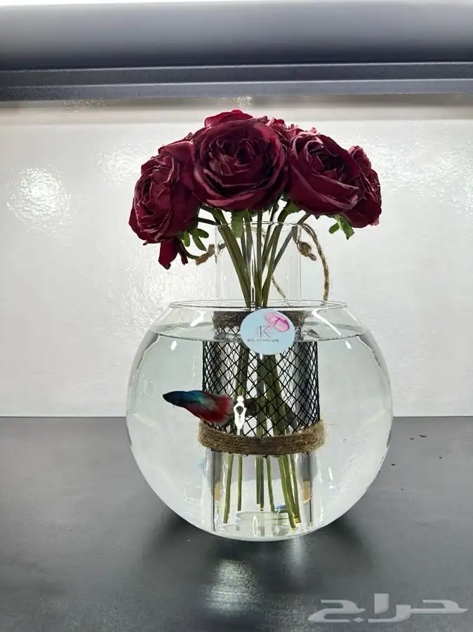 هدية باقة ورد بحوض سمك فايتر 1