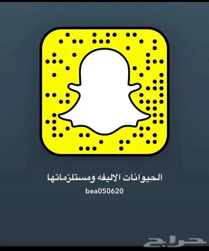 قطط ترويش فندقه احلاقه ارنب هامستر سلااحف مستلزمات حيونات 19