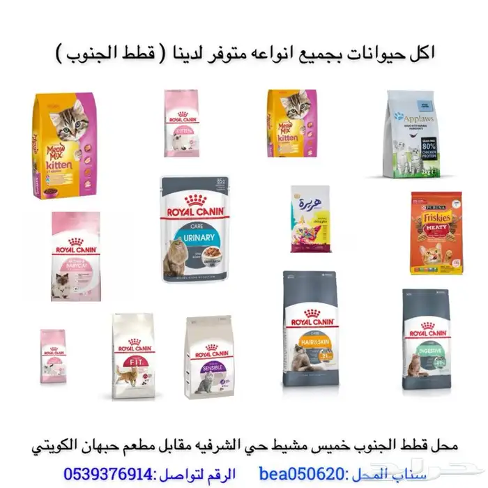 قطط ترويش فندقه احلاقه ارنب هامستر سلااحف مستلزمات حيونات 1