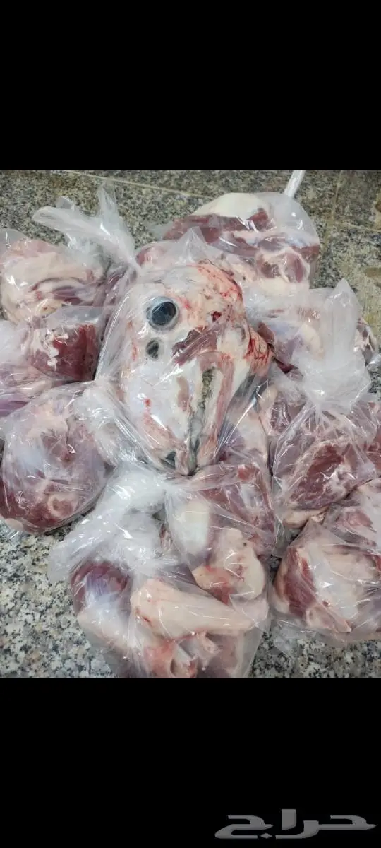 ذبايح سواكني حري مع التوصيل لحد البيت و طبخ مع التوصيل 4