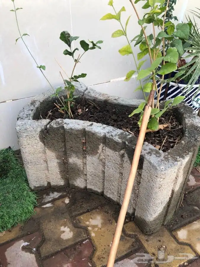 دولاب ملابس احواض زرع 11