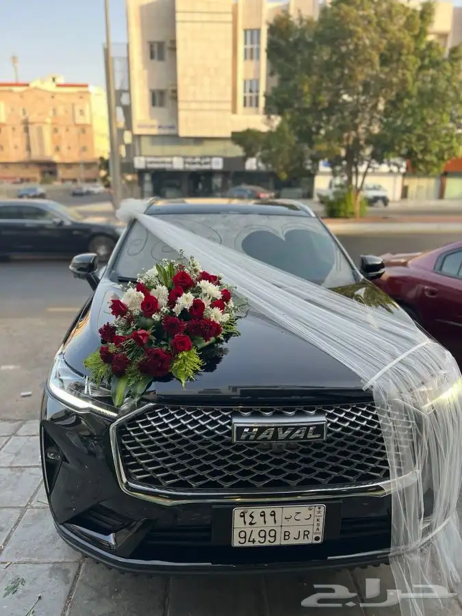 ورد تشريع سيارات تزيين غرف عرسان كوش حفلات عيد ميلاد هدايا 11
