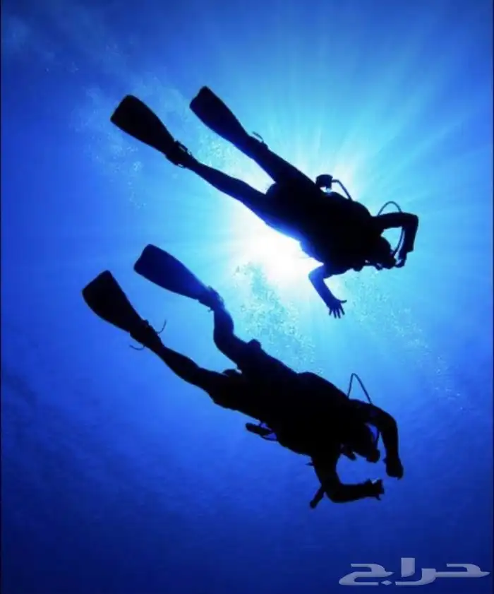 عرض دورة غوص مياه مفتوحة Open Water 9
