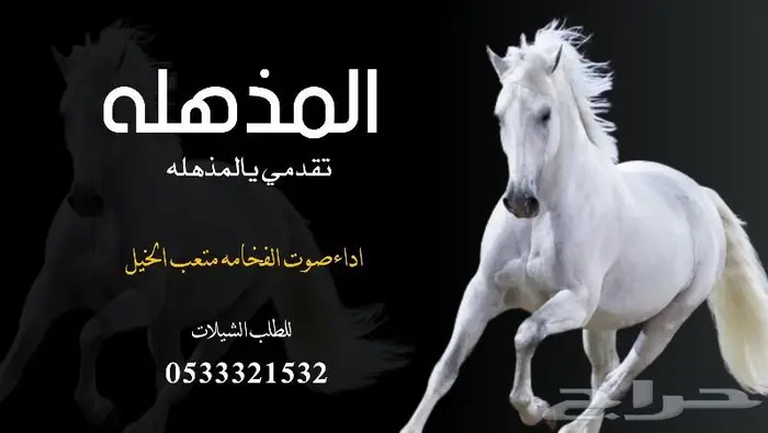 منشد شيلات وشاعر جزل 0