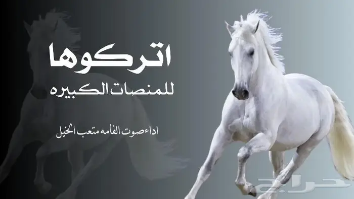 منشد شيلات وشاعر جزل 1