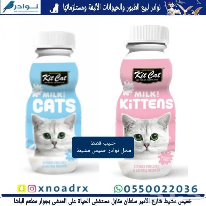 رمل وطعام قطط وجميع مستلزماتها نوادر 50