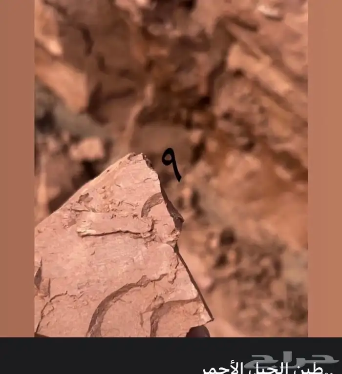 طين او طباشير صالح للأكل كيلو ب100 8