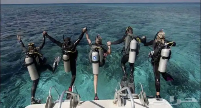عرض دورة غوص مياه مفتوحة Open Water 8