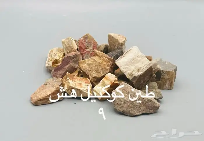 طين وطباشير صالح للأكل الكيلو ب85 8