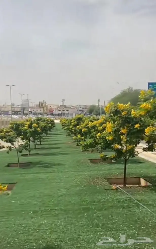 تنسيق حدائق وشلالات. نوافير 3