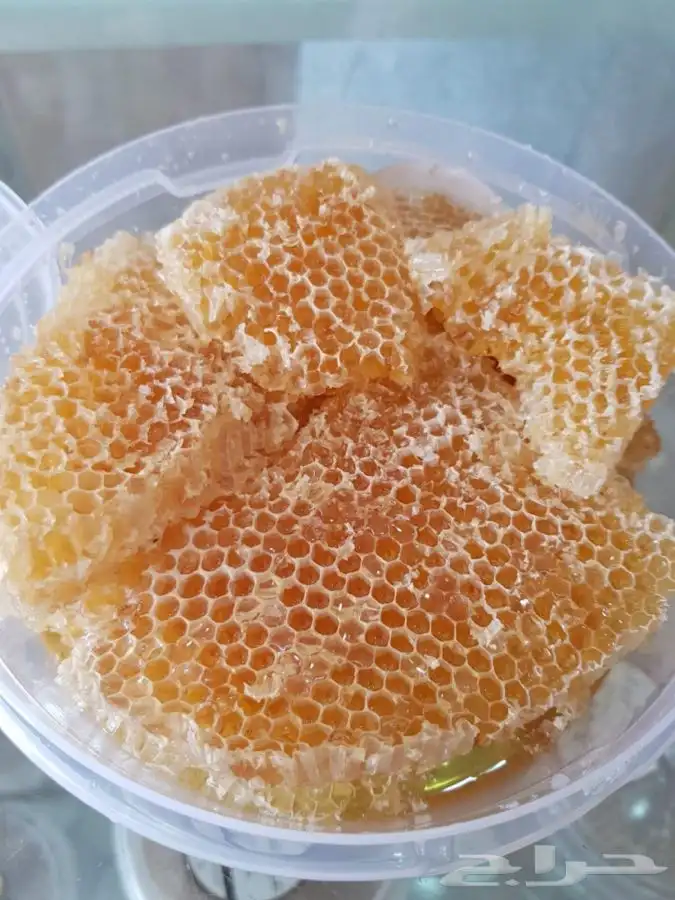 عسل السدر الجبلي البلدي المضمون 0