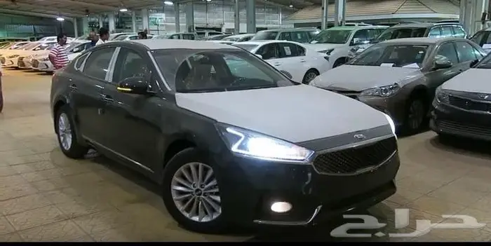 جنوط كادينزا استاندر اصلي وكاله 14