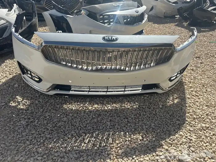 صدامات كادينزا 2017 - 2018 - 2019 - 2020 0