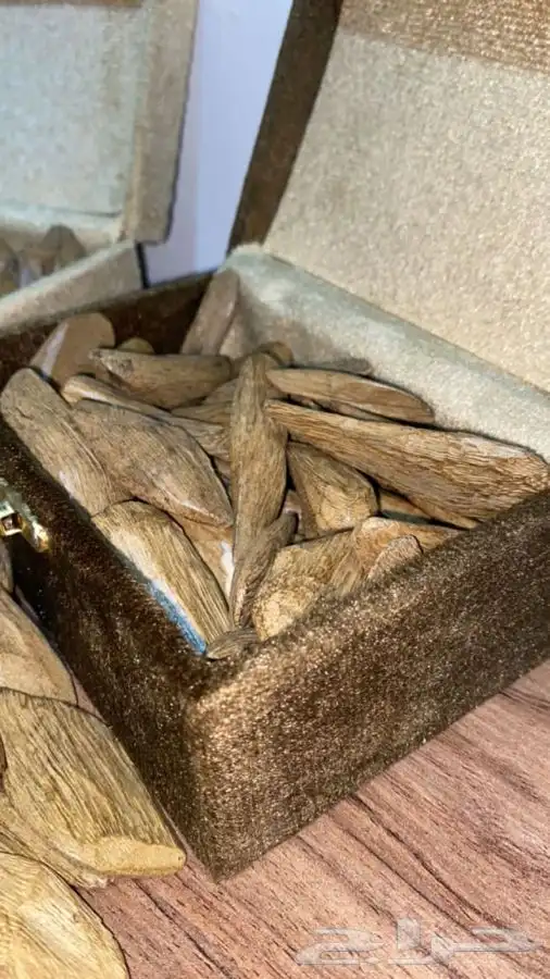 عود مروكي دبل سوبر 2