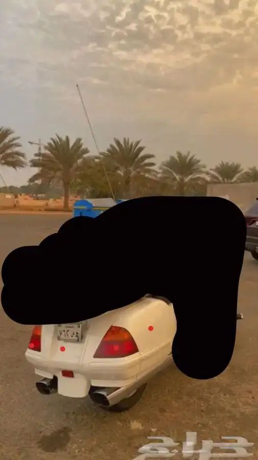 شنط قولد وينق 0
