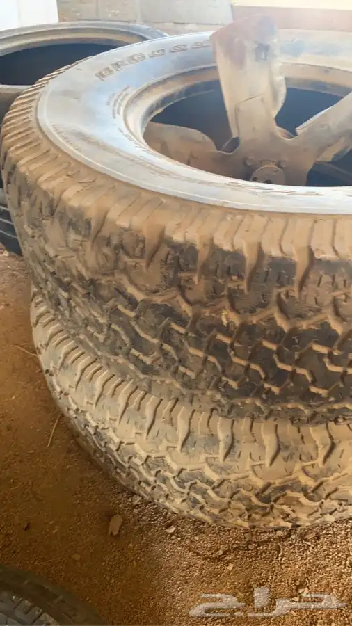 كفرات همر جديده وسبير الوكاله بجنطه 1
