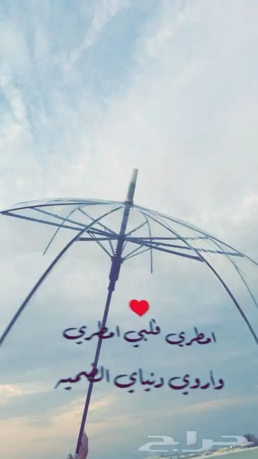 مظلات مطر كتابه حسب الطلب 3