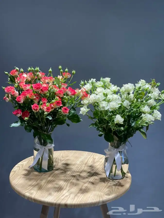 مندوب هدايا 47
