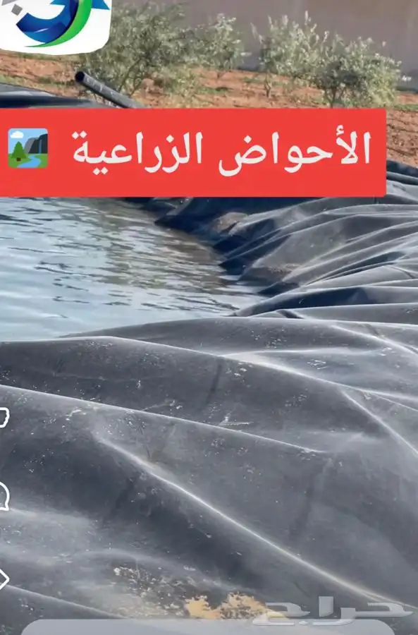 بلاستيك احواض تجميع المياه   مشاريع زراعية اسماك 4